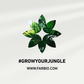FARBIO® NPK Bio-Flüssigdünger für Grünpflanzen | Basis-Nährstoffe für Deine Pflanze